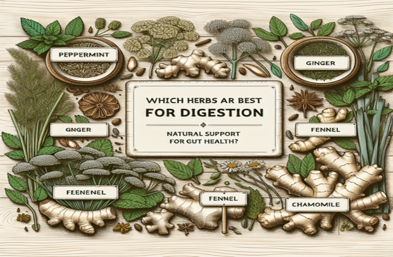 Jakie zioła są najlepsze na trawienie: naturalne wsparcie dla zdrowia układu pokarmowego